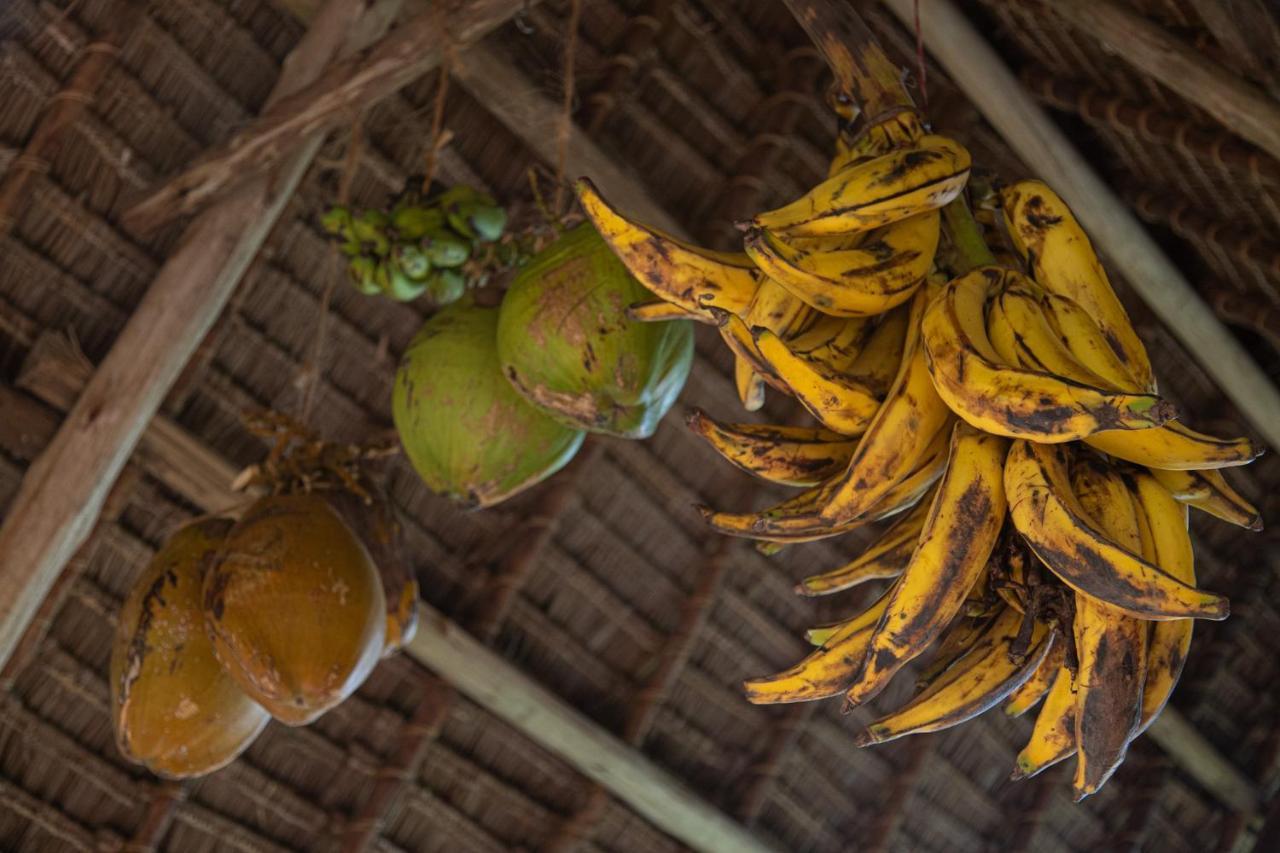 Afriican Village Zanzibar Michamvi Kae Exterior photo